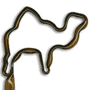 Camel thumbnail