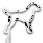Dalmation Dog thumbnail