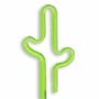 Cactus thumbnail
