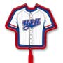 Jersey / Uniform thumbnail