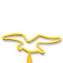 Seagull thumbnail