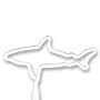 Shark thumbnail