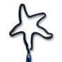 Starfish thumbnail