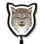 Cat / Lynx thumbnail