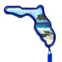 Florida thumbnail
