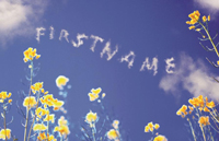Sky with Flowers thumbnail