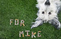 Dog Bones thumbnail