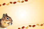 Squirrel thumbnail