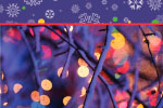 Holiday Lights thumbnail