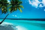 Beach 2 thumbnail