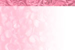 Roses Pink thumbnail