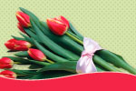 Tulips 2 thumbnail