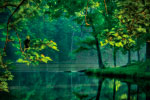Green Lake thumbnail