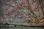 Winter River thumbnail