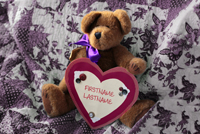 Teddy Bear thumbnail