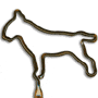 Dog / Bull Terrier thumbnail