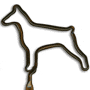 Dog / Doberman thumbnail