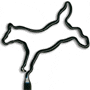 Horse / Bucking thumbnail