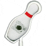 Bowling / Pin thumbnail
