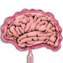 Brain thumbnail