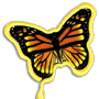 Butterfly thumbnail