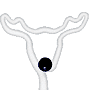 Reindeer thumbnail