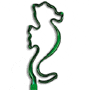 Seahorse thumbnail