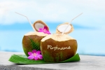Coconut Cocktail