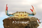 Happy Crab