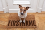 Welcome Dog