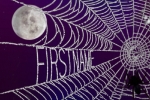 Spider Web