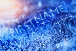 Frost