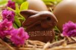 Chocolate Bunny