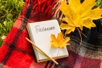 Autumn Picnic
