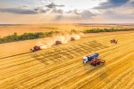 Farm Field