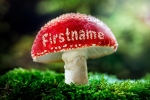 Mushroom