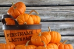 Pumpkin Basket