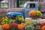 Autumn Truck